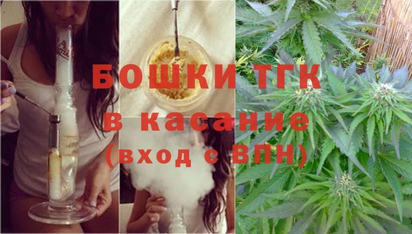 стаф Белоозёрский