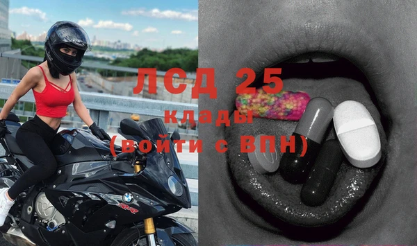 стаф Белоозёрский