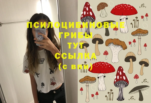 метадон Богородицк