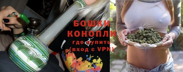 дмт Богданович