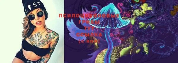 соль ск Пестово