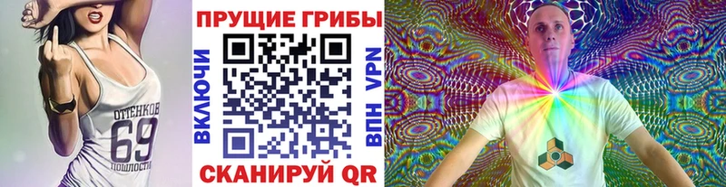 где найти наркотики  Минеральные Воды  Галлюциногенные грибы Psilocybe 